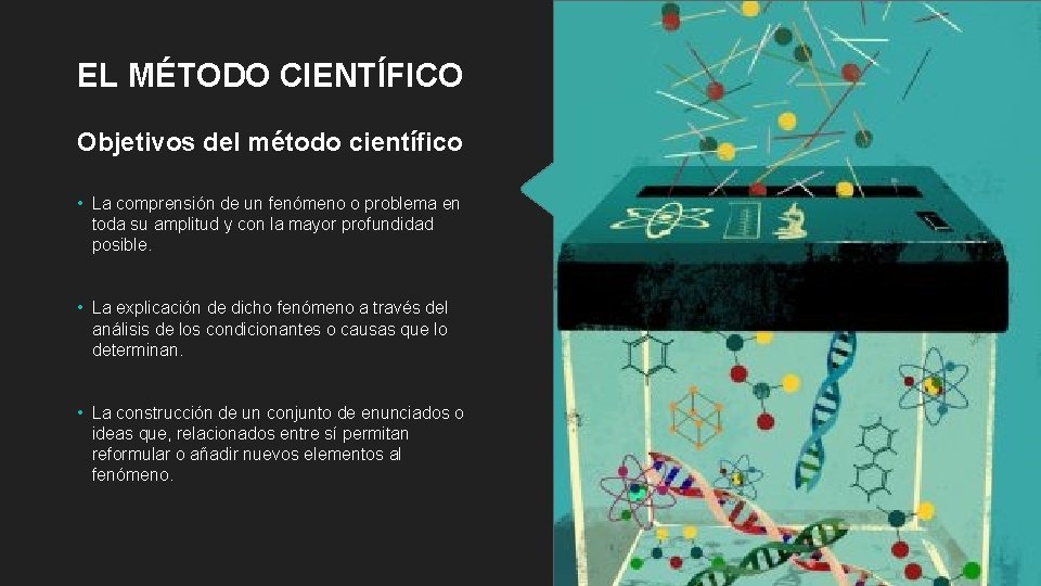Objetivo Conocer las distintas fases del mtodo cientfico