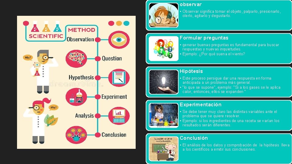 Objetivo Conocer las distintas fases del mtodo cientfico