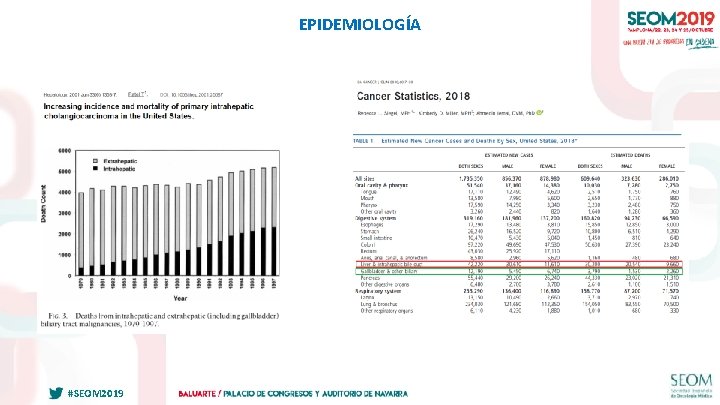 EPIDEMIOLOGÍA #SEOM 2019 