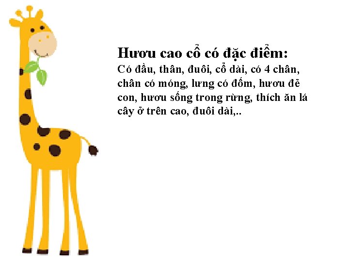 Hươu cao cổ có đặc điểm: Có đầu, thân, đuôi, cổ dài, có 4