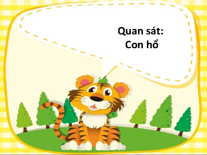 Quan sát: Con hổ 