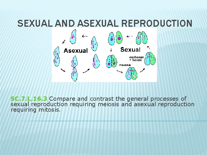 SEXUAL AND ASEXUAL REPRODUCTION SC. 7. L. 16. 3 Compare and contrast the general