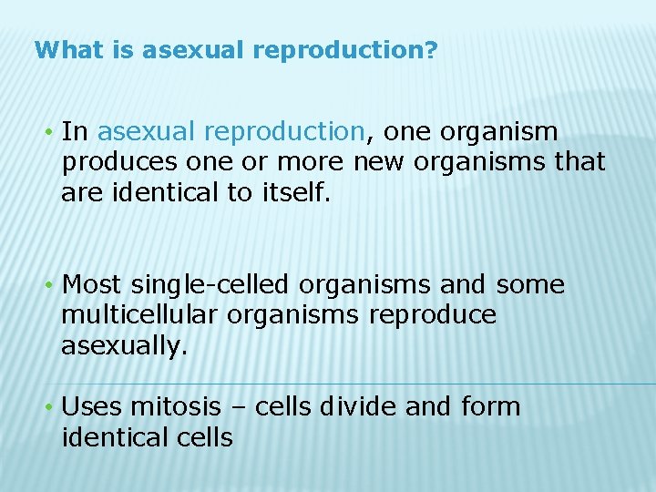 What is asexual reproduction? • In asexual reproduction, one organism produces one or more