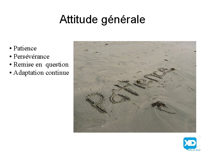 Attitude générale • Patience • Persévérance • Remise en question • Adaptation continue 