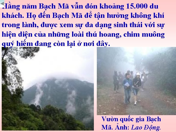 Hằng năm Bạch Mã vẫn đón khoảng 15. 000 du khách. Họ đến Bạch