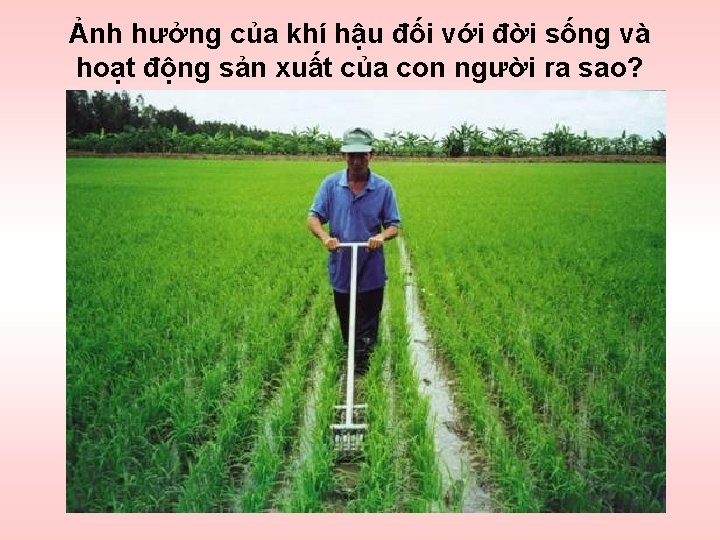 Ảnh hưởng của khí hậu đối với đời sống và hoạt động sản xuất