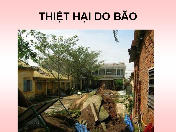 THIỆT HẠI DO BÃO 