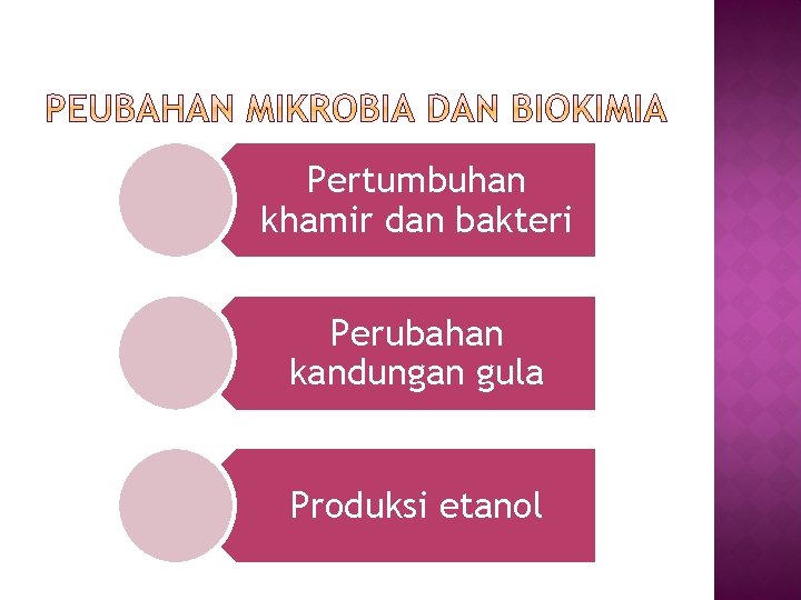 Pertumbuhan khamir dan bakteri Perubahan kandungan gula Produksi etanol 