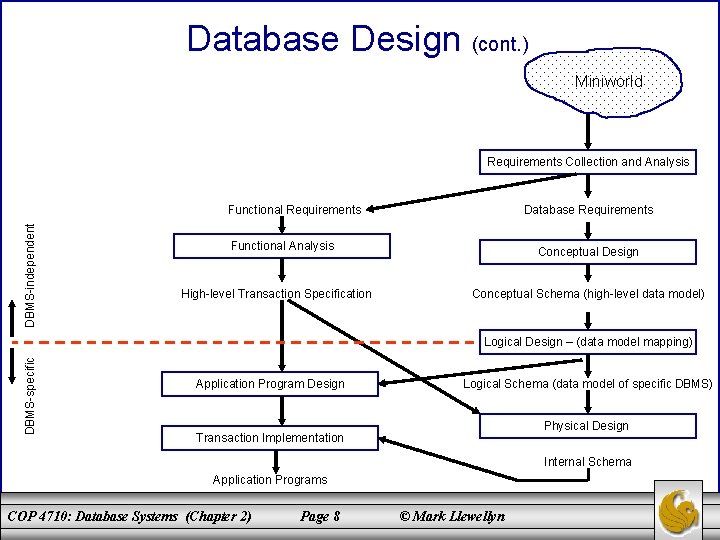 Database Design (cont. ) Miniworld Requirements Collection and Analysis DBMS-independent Functional Requirements Database Requirements