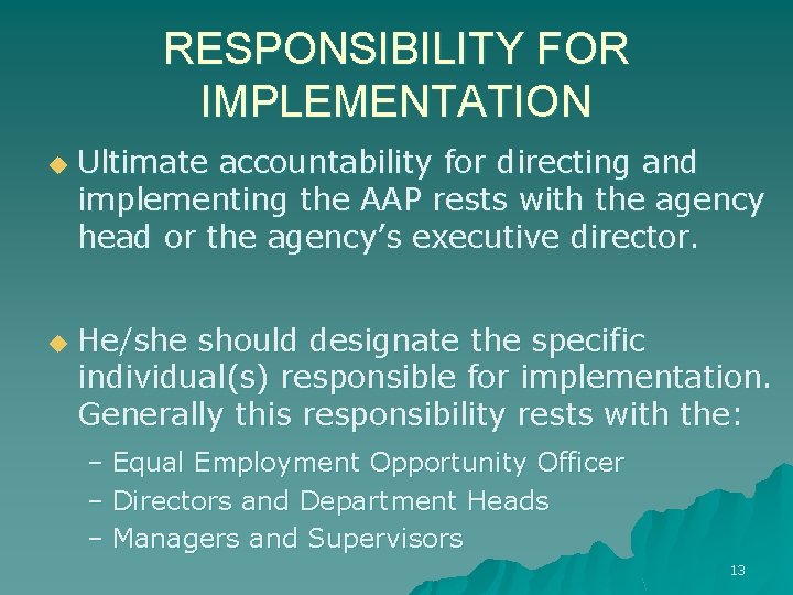 RESPONSIBILITY FOR IMPLEMENTATION u u Ultimate accountability for directing and implementing the AAP rests