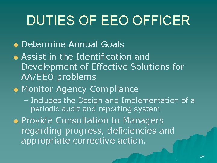 DUTIES OF EEO OFFICER Determine Annual Goals u Assist in the Identification and Development