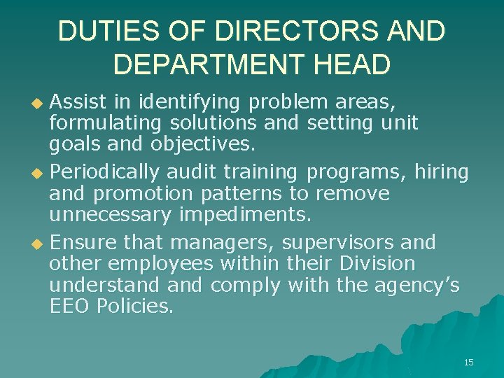 DUTIES OF DIRECTORS AND DEPARTMENT HEAD Assist in identifying problem areas, formulating solutions and