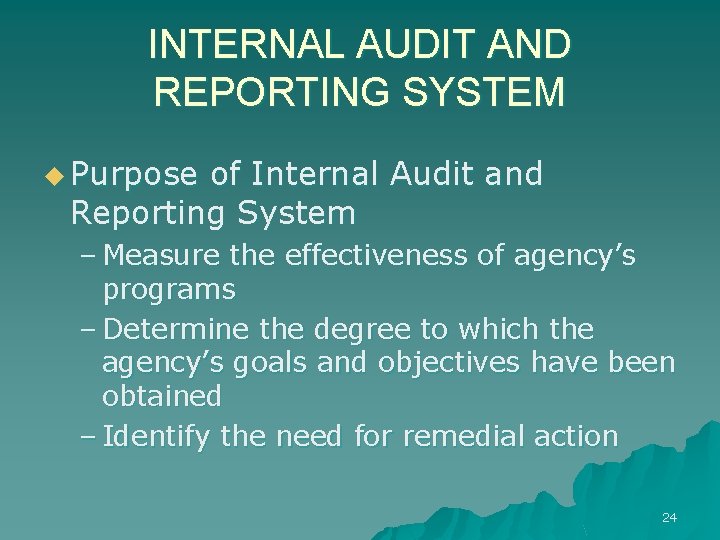 INTERNAL AUDIT AND REPORTING SYSTEM u Purpose of Internal Audit and Reporting System –