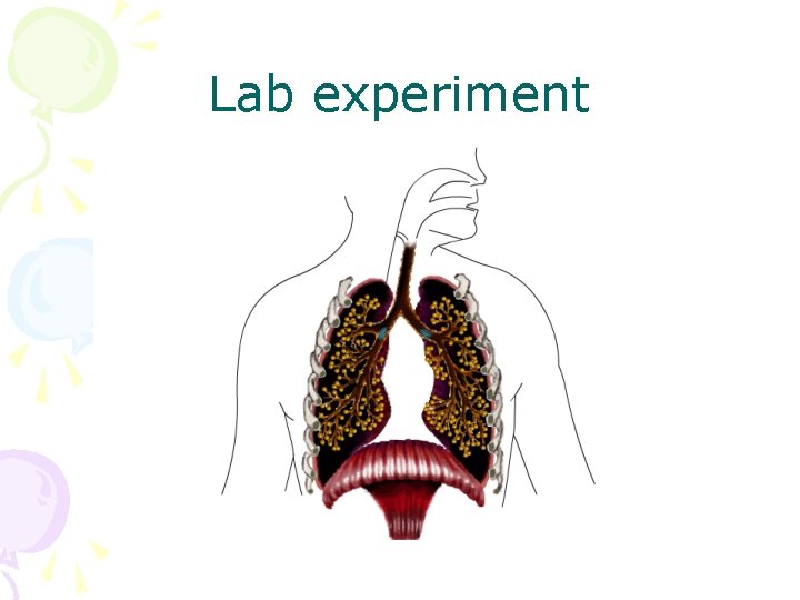 Lab experiment 