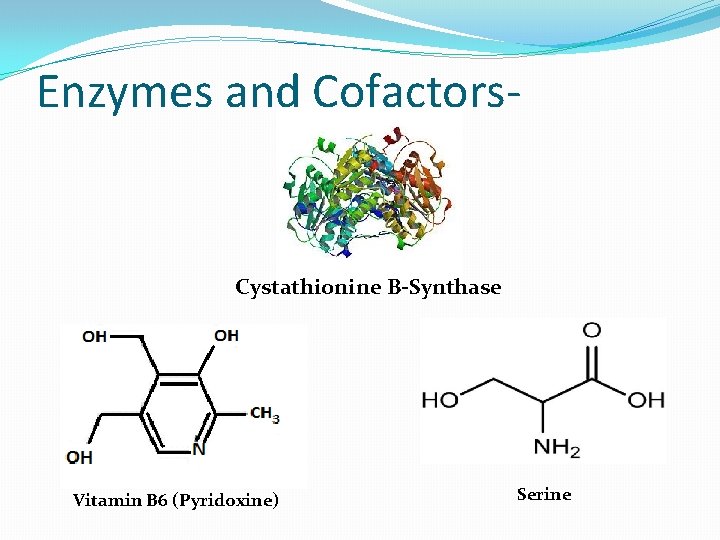 Enzymes and Cofactors- Cystathionine B-Synthase Vitamin B 6 (Pyridoxine) Serine 