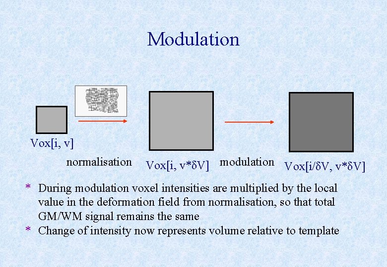 Modulation Vox[i, v] normalisation Vox[i, v*δV] modulation Vox[i/δV, v*δV] * During modulation voxel intensities