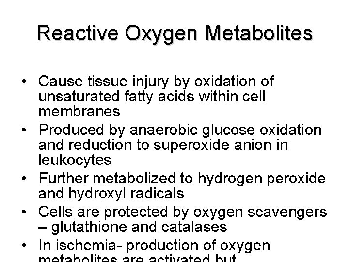 Reactive Oxygen Metabolites • Cause tissue injury by oxidation of unsaturated fatty acids within