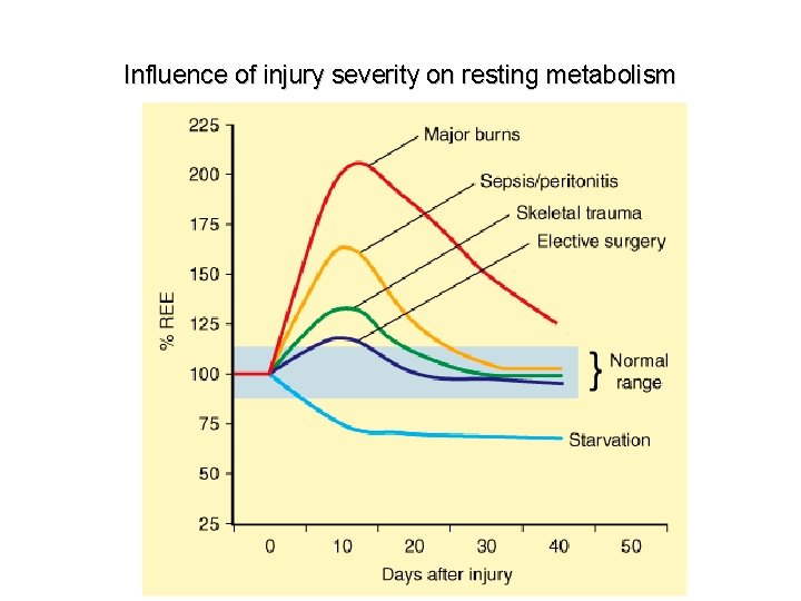 Influence of injury severity on resting metabolism 