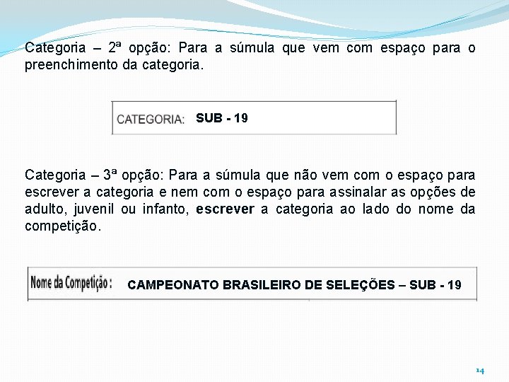 Categoria – 2ª opção: Para a súmula que vem com espaço para o preenchimento