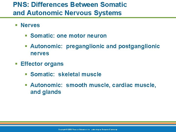 PNS: Differences Between Somatic and Autonomic Nervous Systems § Nerves § Somatic: one motor