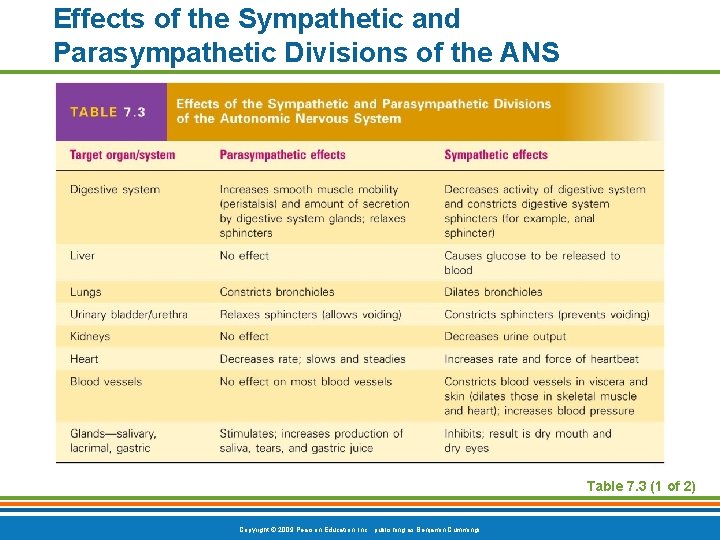 Effects of the Sympathetic and Parasympathetic Divisions of the ANS Table 7. 3 (1