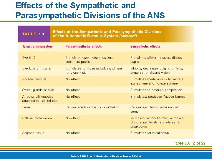 Effects of the Sympathetic and Parasympathetic Divisions of the ANS Table 7. 3 (2