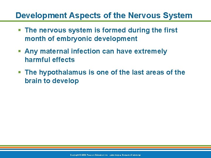 Development Aspects of the Nervous System § The nervous system is formed during the