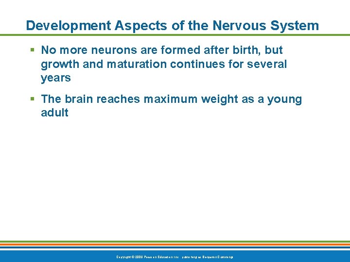 Development Aspects of the Nervous System § No more neurons are formed after birth,