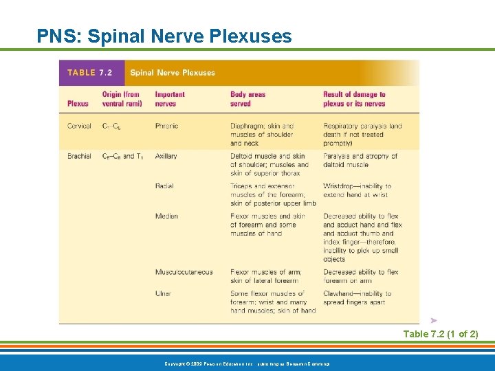 PNS: Spinal Nerve Plexuses Table 7. 2 (1 of 2) Copyright © 2009 Pearson