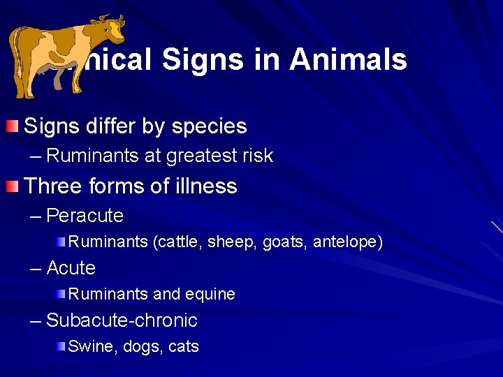 Clinical Signs in Animals Signs differ by species – Ruminants at greatest risk Three