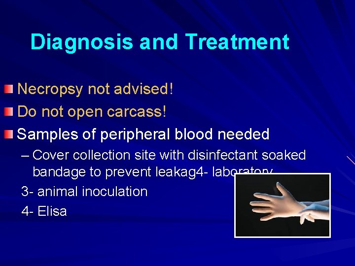 Diagnosis and Treatment Necropsy not advised! Do not open carcass! Samples of peripheral blood