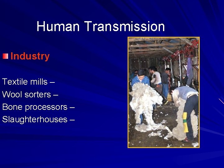 Human Transmission Industry Tanneries – Textile mills – Wool sorters – Bone processors –