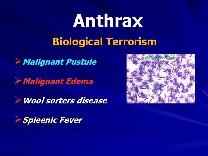 Anthrax Biological Terrorism ØMalignant Pustule ØMalignant Edema ØWool sorters disease ØSpleenic Fever 