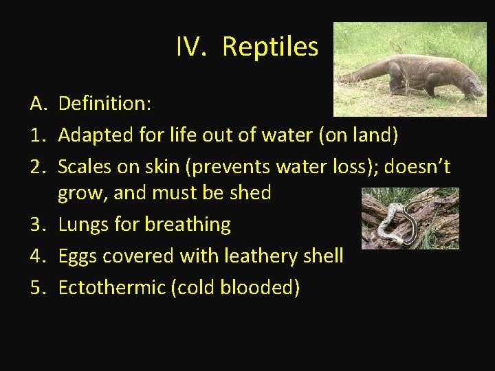 IV. Reptiles A. Definition: 1. Adapted for life out of water (on land) 2.