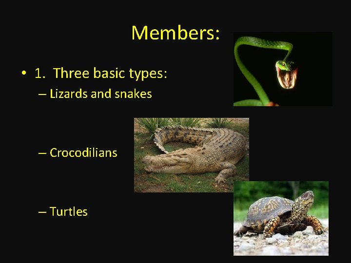 Members: • 1. Three basic types: – Lizards and snakes – Crocodilians – Turtles