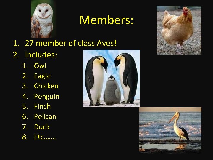 Members: 1. 27 member of class Aves! 2. Includes: 1. 2. 3. 4. 5.