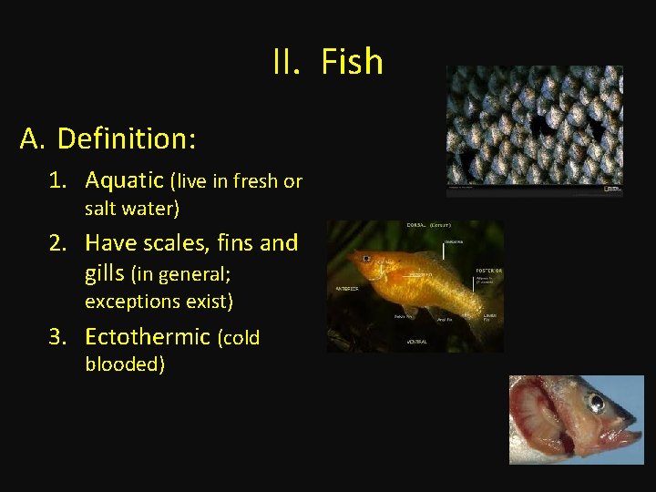 II. Fish A. Definition: 1. Aquatic (live in fresh or salt water) 2. Have
