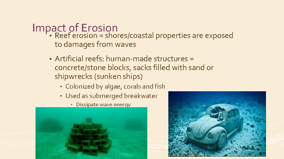 Impact of Erosion • Reef erosion = shores/coastal properties are exposed to damages from