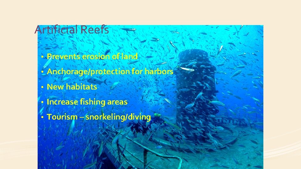 Artificial Reefs • Prevents erosion of land • Anchorage/protection for harbors • New habitats