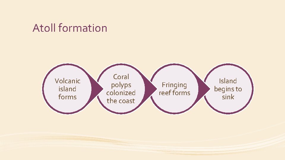 Atoll formation Volcanic island forms Coral polyps colonized the coast Fringing reef forms Island