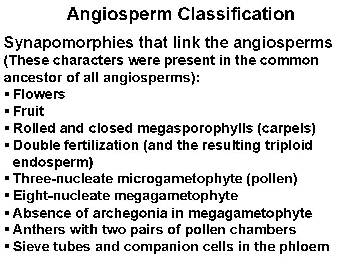 Angiosperm Classification Synapomorphies that link the angiosperms (These characters were present in the common