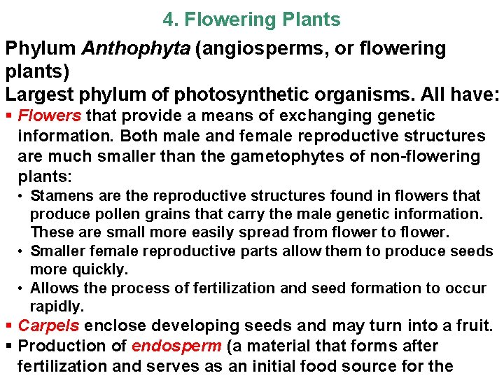 4. Flowering Plants Phylum Anthophyta (angiosperms, or flowering plants) Largest phylum of photosynthetic organisms.