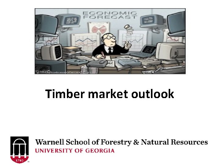 Timber market outlook 