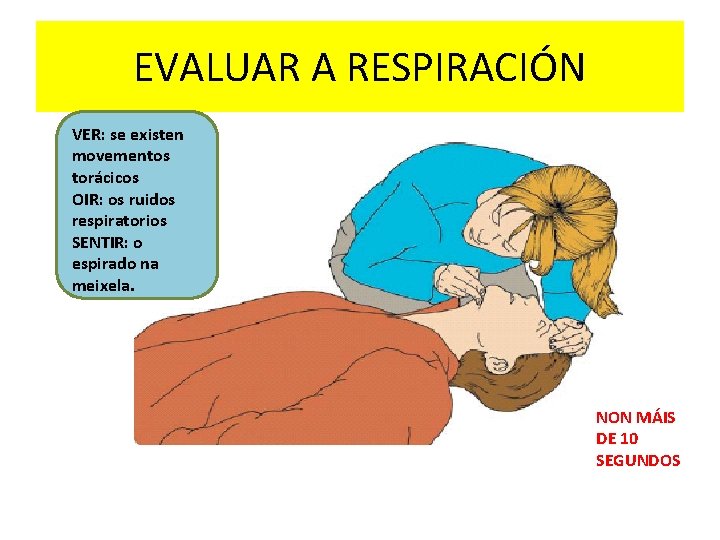 EVALUAR A RESPIRACIÓN VER: se existen movementos torácicos OIR: os ruidos respiratorios SENTIR: o