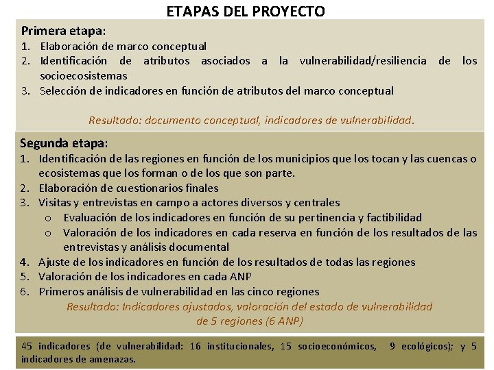 ETAPAS DEL PROYECTO Primera etapa: 1. Elaboración de marco conceptual 2. Identificación de atributos