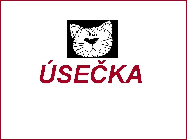 ÚSEČKA 