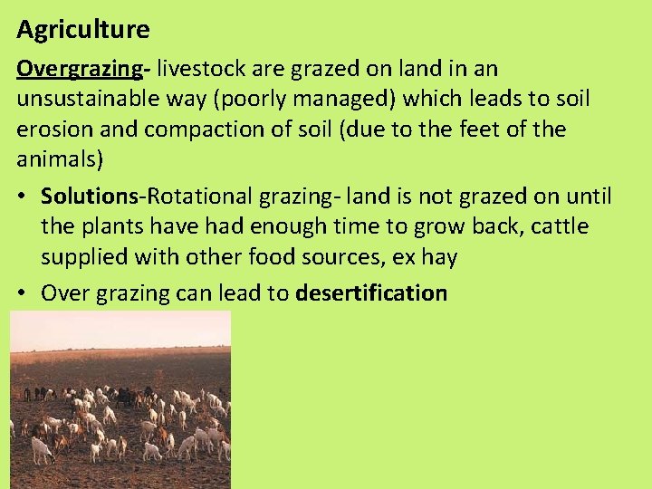 Agriculture Overgrazing- livestock are grazed on land in an unsustainable way (poorly managed) which