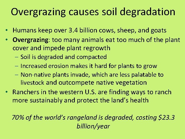 Overgrazing causes soil degradation • Humans keep over 3. 4 billion cows, sheep, and