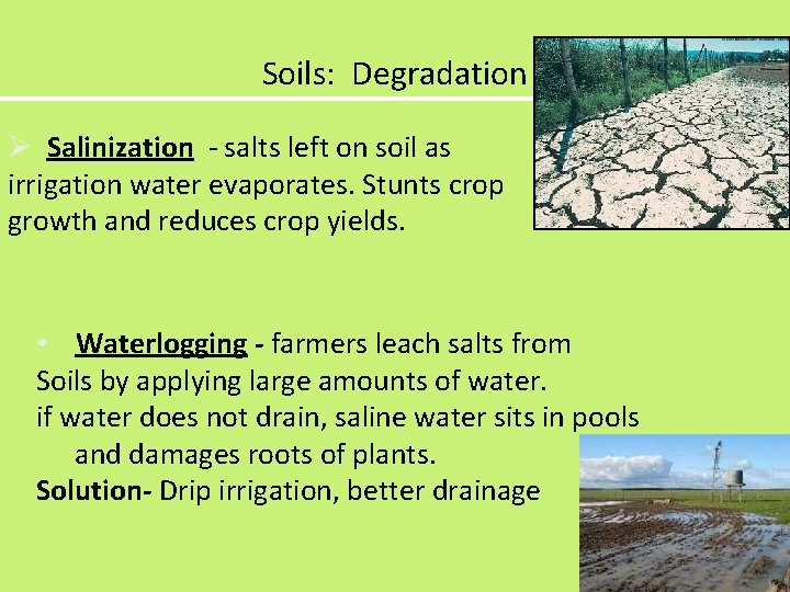 Soils: Degradation Ø Salinization - salts left on soil as irrigation water evaporates. Stunts