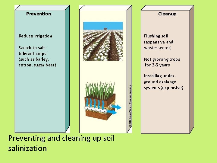 Prevention Reduce irrigation Switch to salttolerant crops (such as barley, cotton, sugar beet) Cleanup